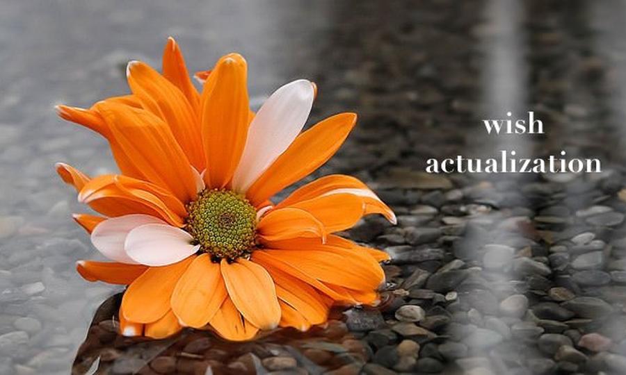 EFFECTIVENESS OF TREATMENT BASED ON WISH-ACTUALIZATION DOCTR